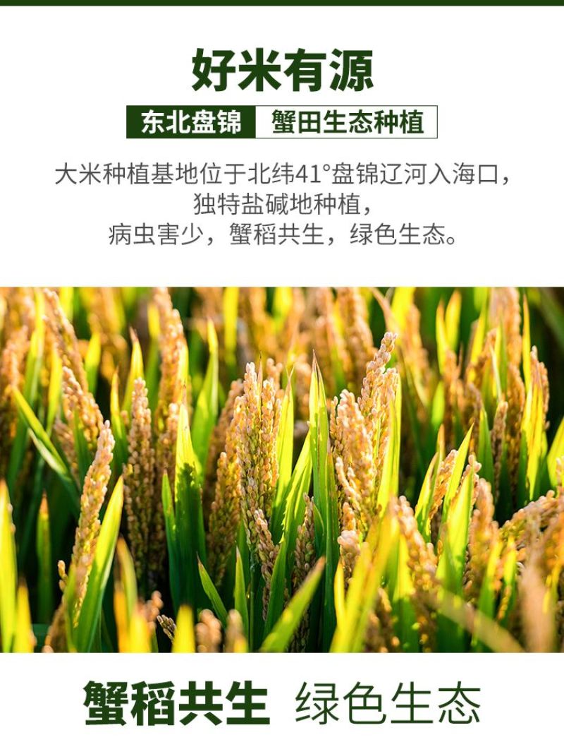 盘锦蟹田大米粳米圆粒批发