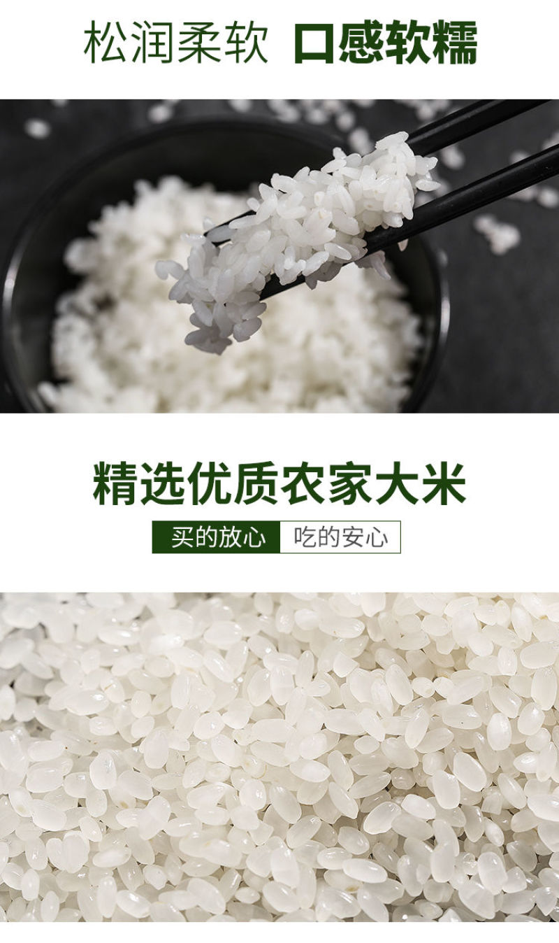 盘锦蟹田大米粳米圆粒批发