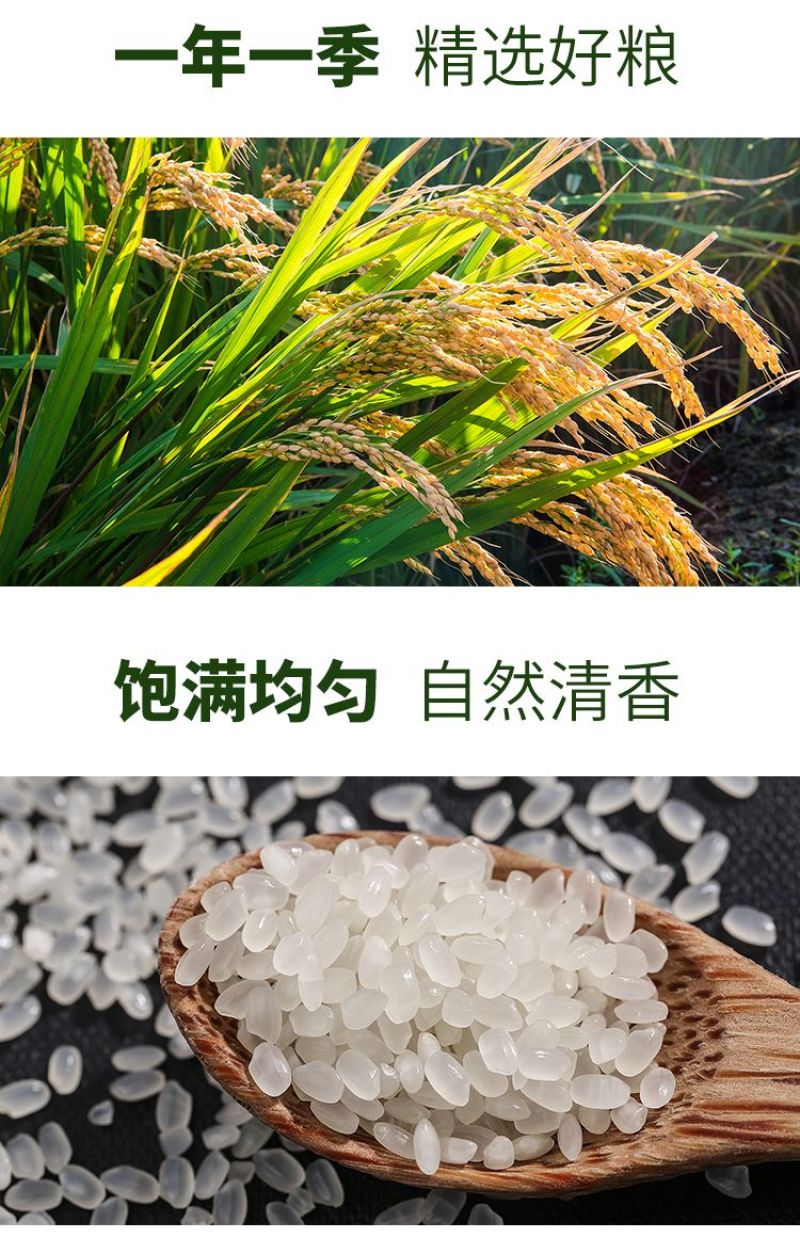 盘锦蟹田大米粳米圆粒批发
