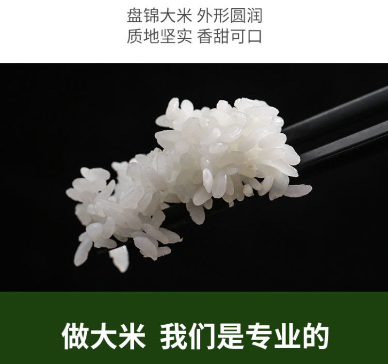 盘锦蟹田大米粳米圆粒批发