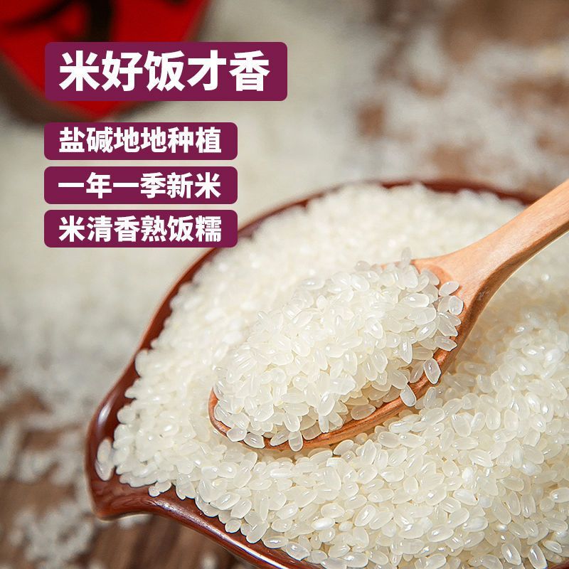 盘锦蟹田大米粳米圆粒批发