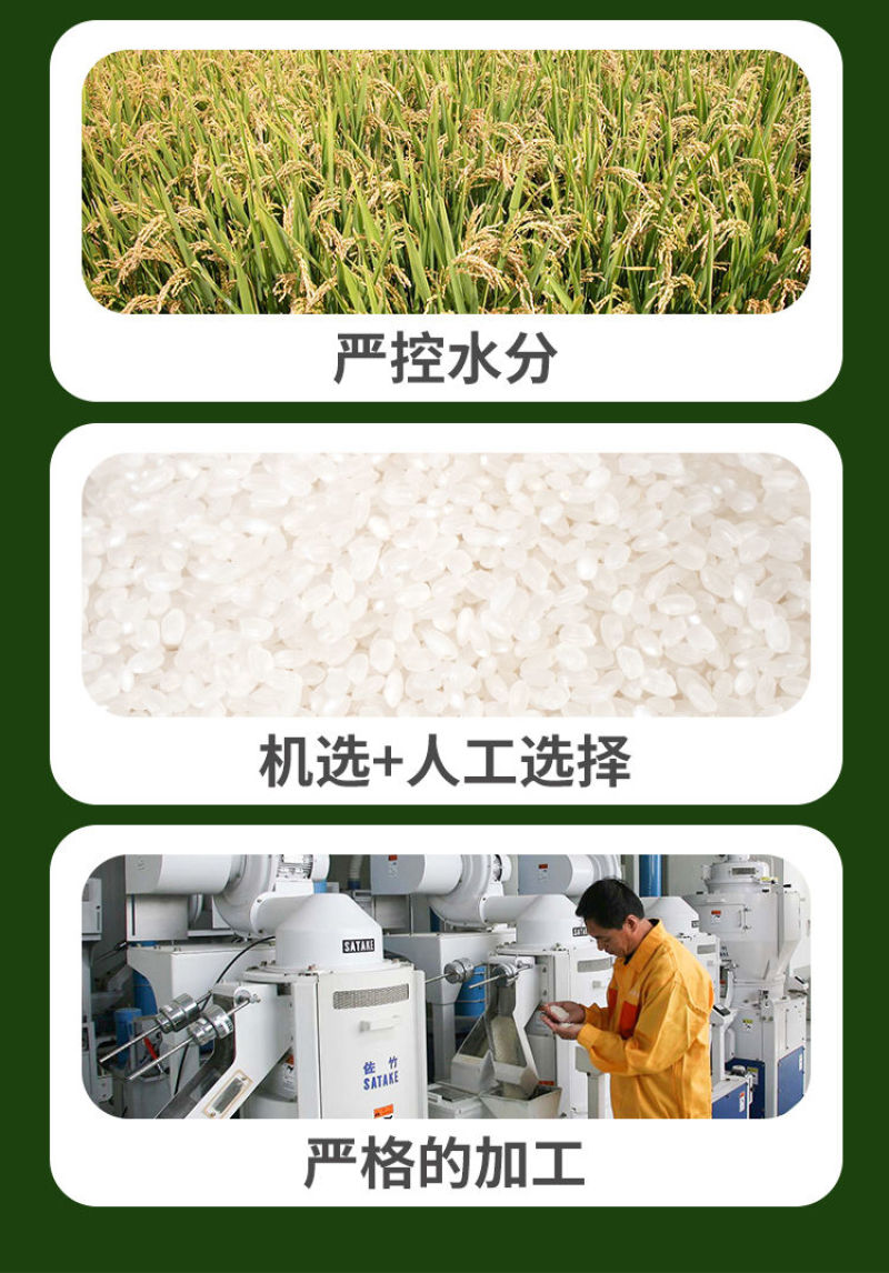 盘锦蟹田大米粳米圆粒批发