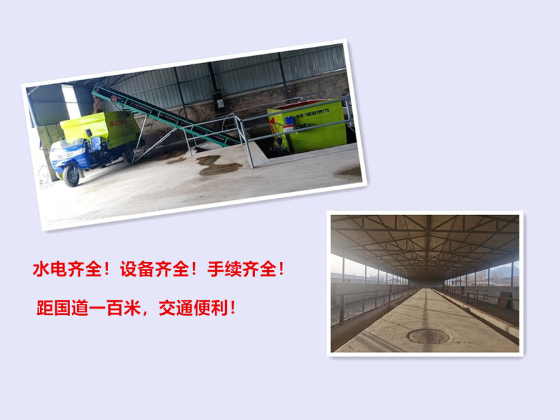 大型养牛场出售