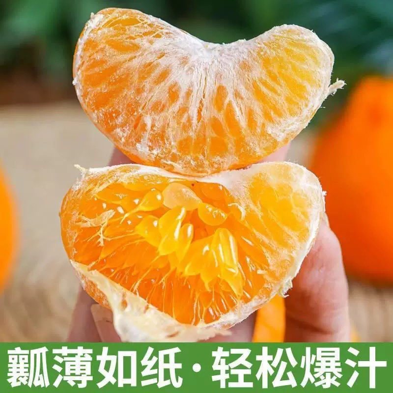 正宗春见耙耙柑，一件代发，商超品质坏果包赔