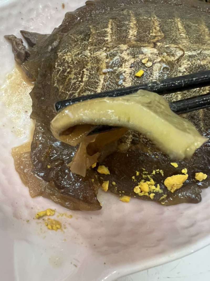 甲鱼，爸妈自己养殖，我们自己吃的，放心持