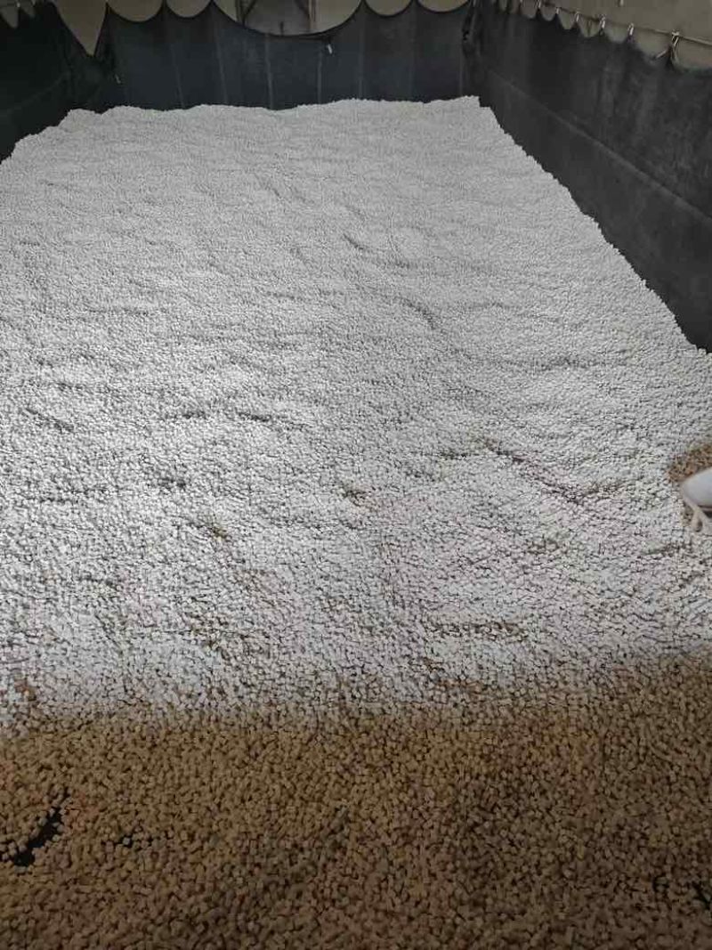 茯苓中心丁特心丁各种规格自产自销量大从优欢迎致电
