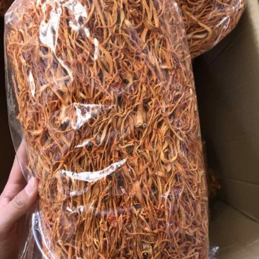 北虫草虫草花金虫草产地直发一手货源一斤也是批发价