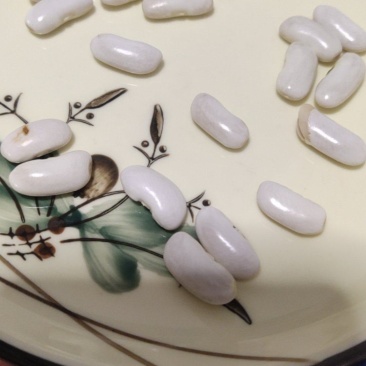 大理小白豆大量有货