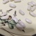 大理小白豆大量有货