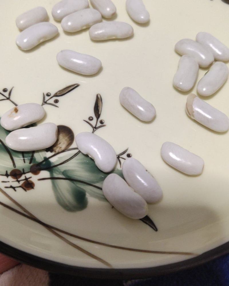 大理小白豆大量有货
