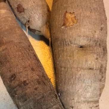牛奶木薯