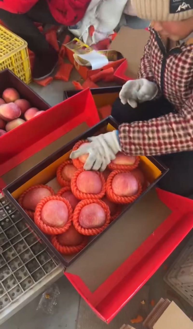 苹果年货高端礼盒批发欢迎全国各地老板采购质量保证放心