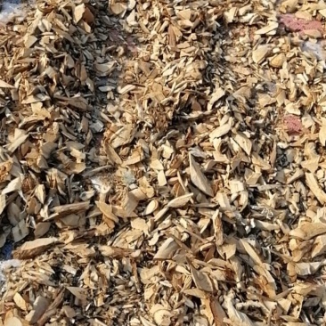 南非叶干片