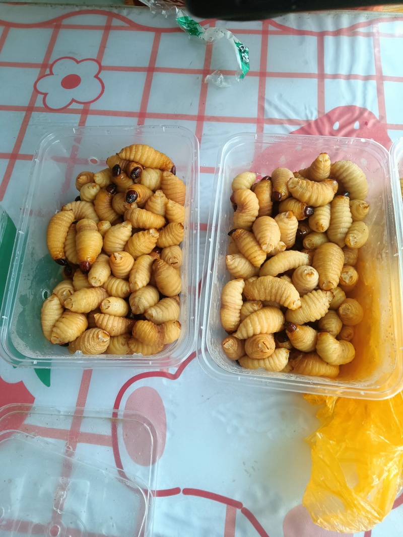 竹笋虫（绿色养殖）