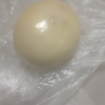 鸭宝