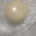 鸭宝