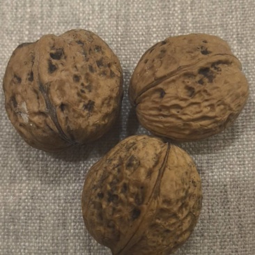 云南茶核桃
