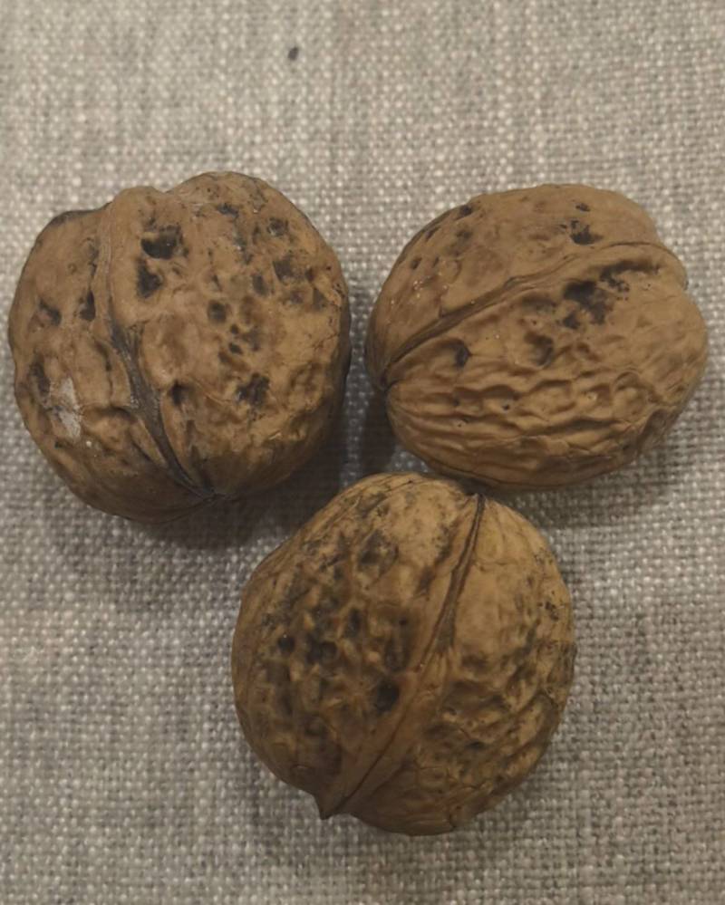 云南茶核桃