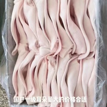 猪耳朵