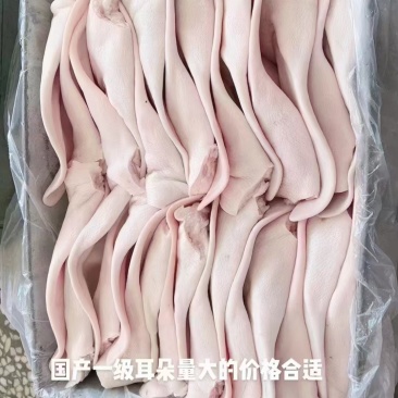 猪耳朵