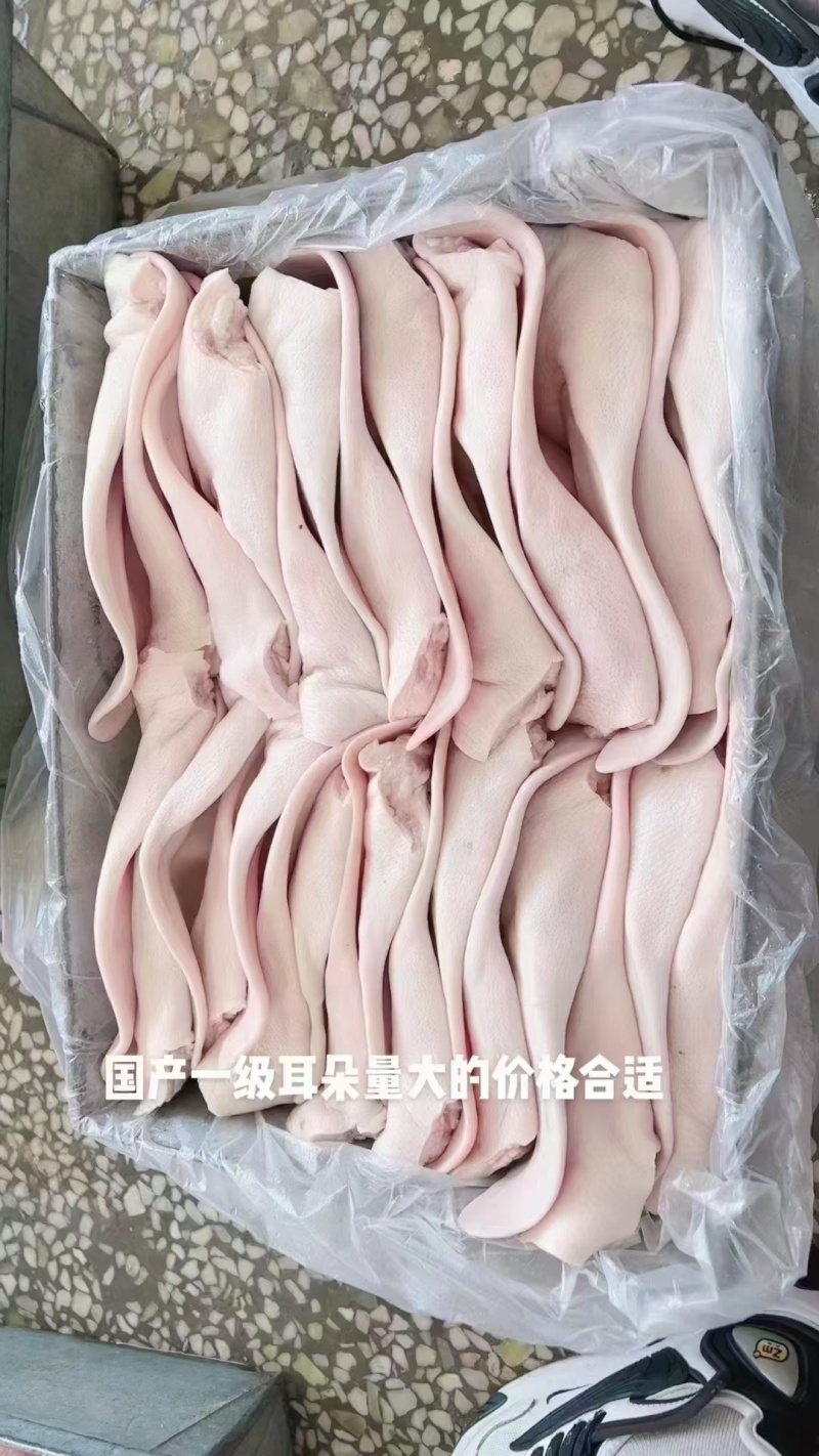 猪耳朵