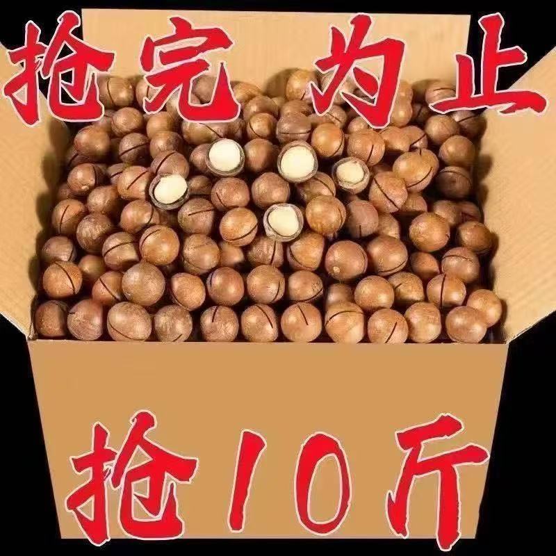 夏威果大量现货支持一件代发
