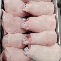 肘子