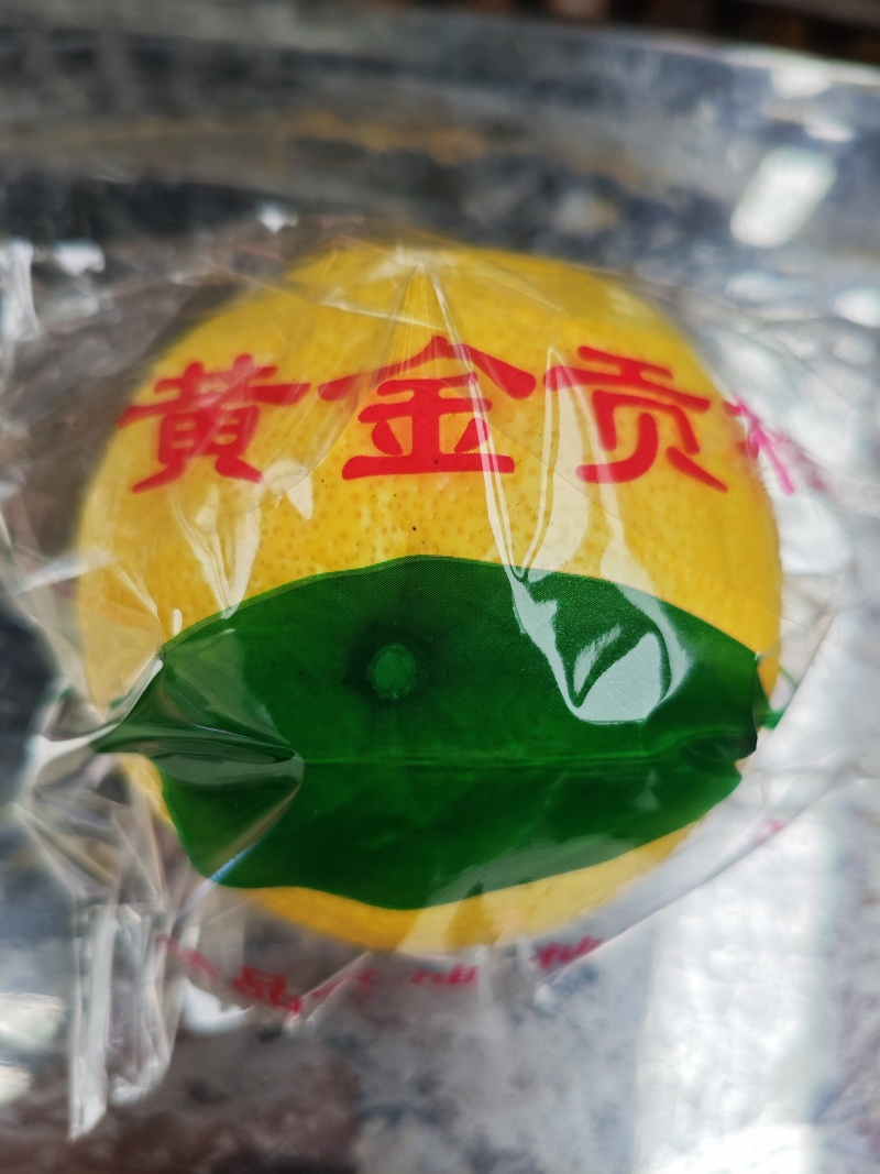 怀化市洪江市岩垅黄金贡柚