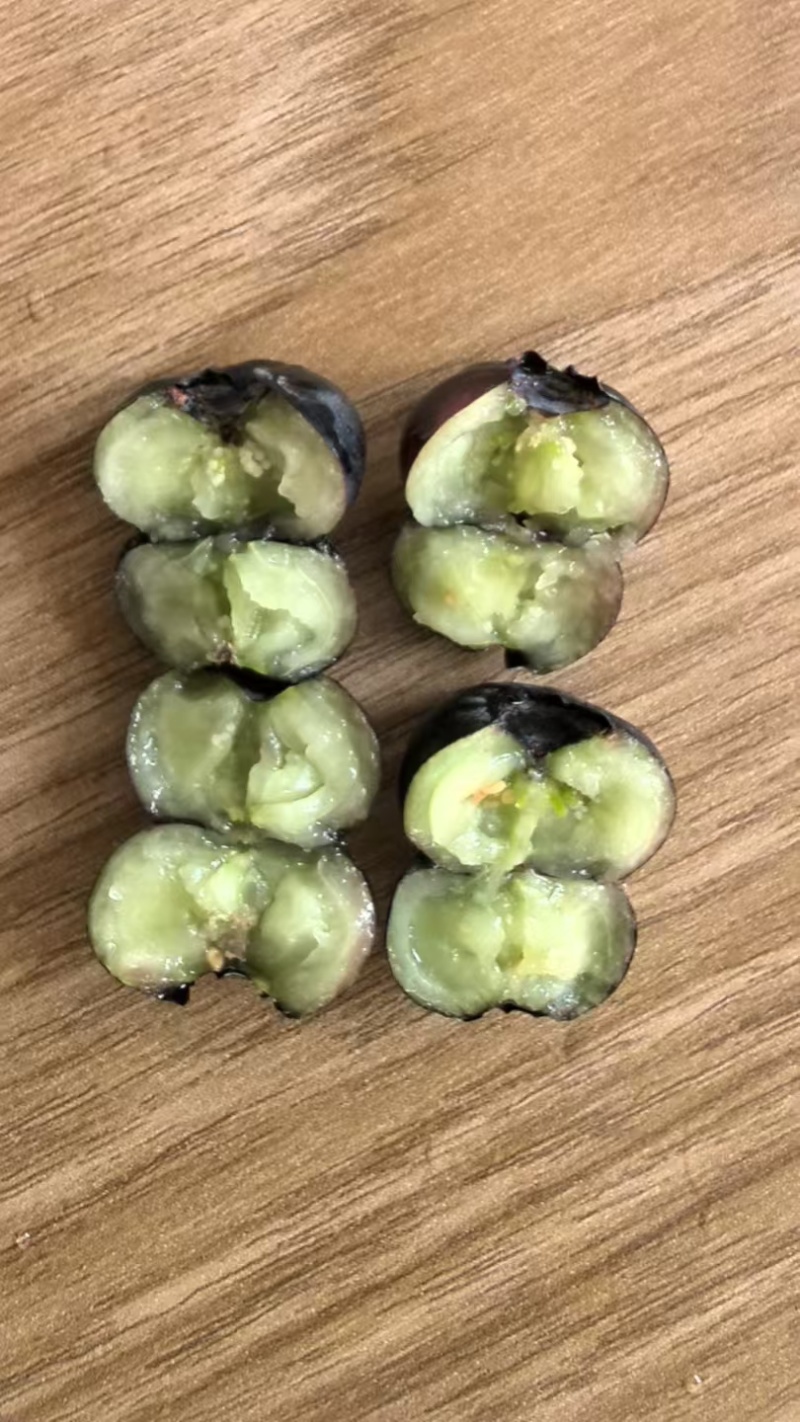 花香蓝莓🫐
