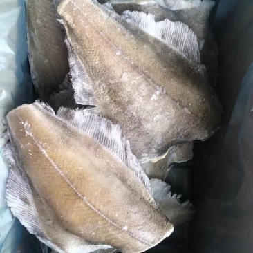 箭齿鲽鱼身。堪察加鲽鱼