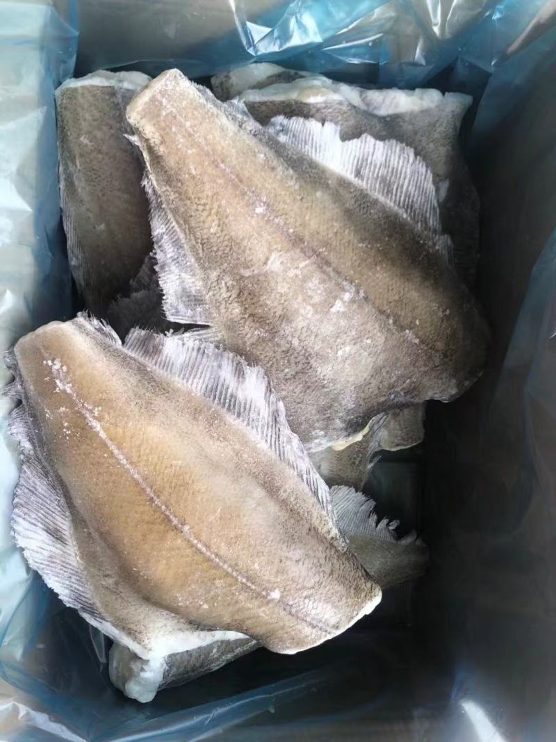 箭齿鲽鱼身。堪察加鲽鱼