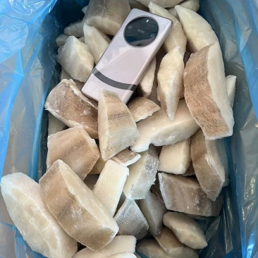 鲽鱼段比目鱼段鲽鱼切块