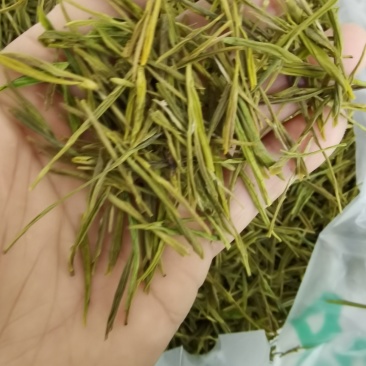 广德黄金芽口粮茶！茶农直销！