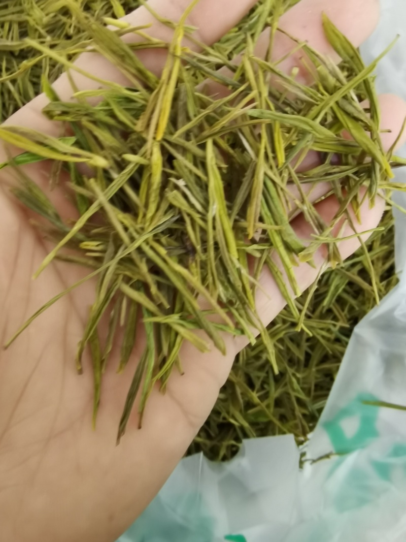 广德黄金芽口粮茶！茶农直销！