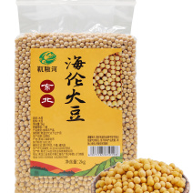 海伦大豆
