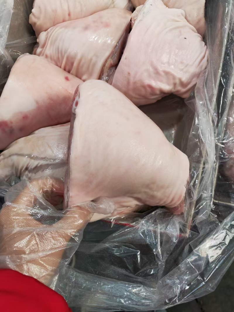 你们要的肘子来了。前后肘都有。全部新货