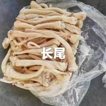 猪长尾