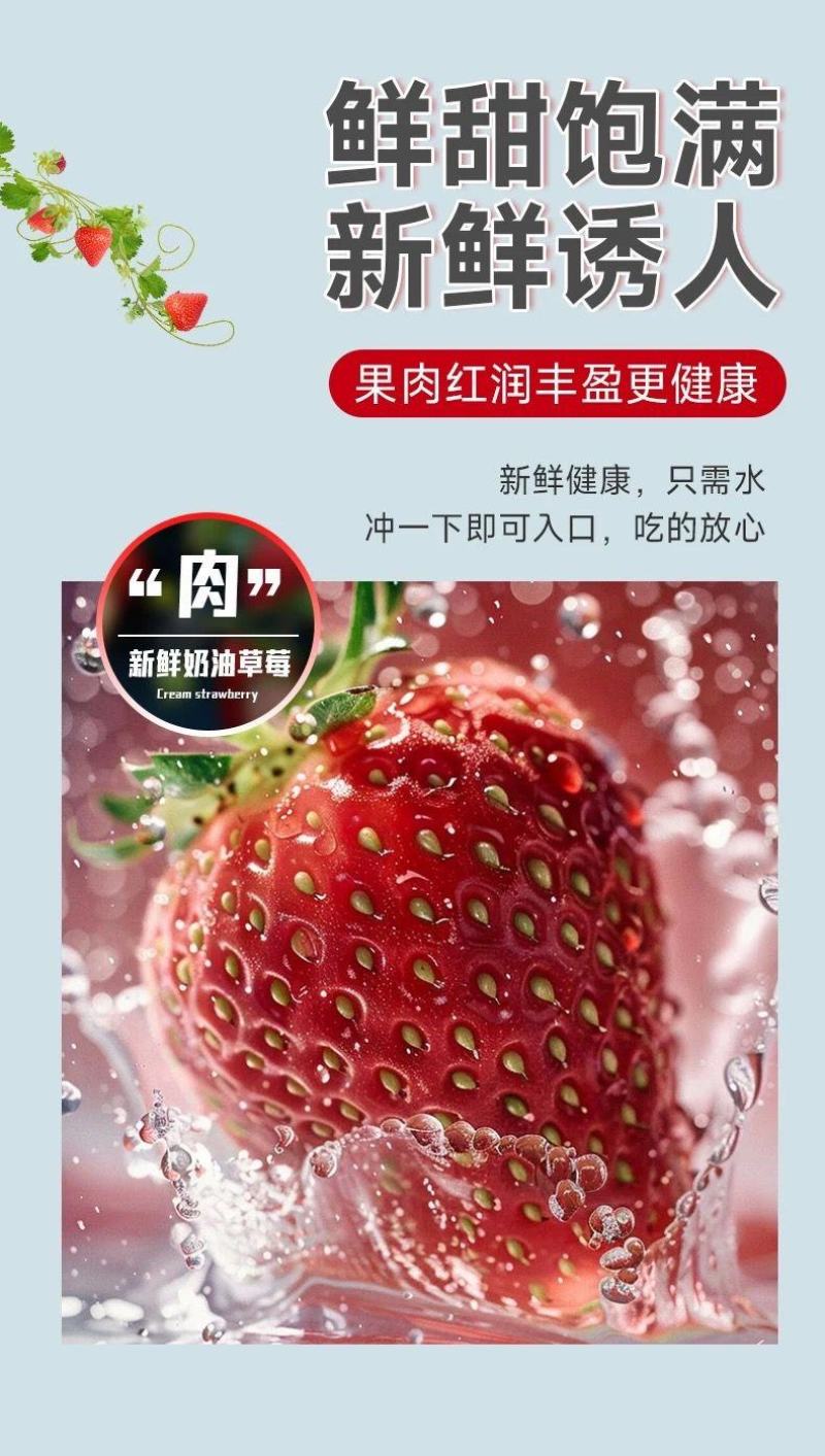 丹东草莓