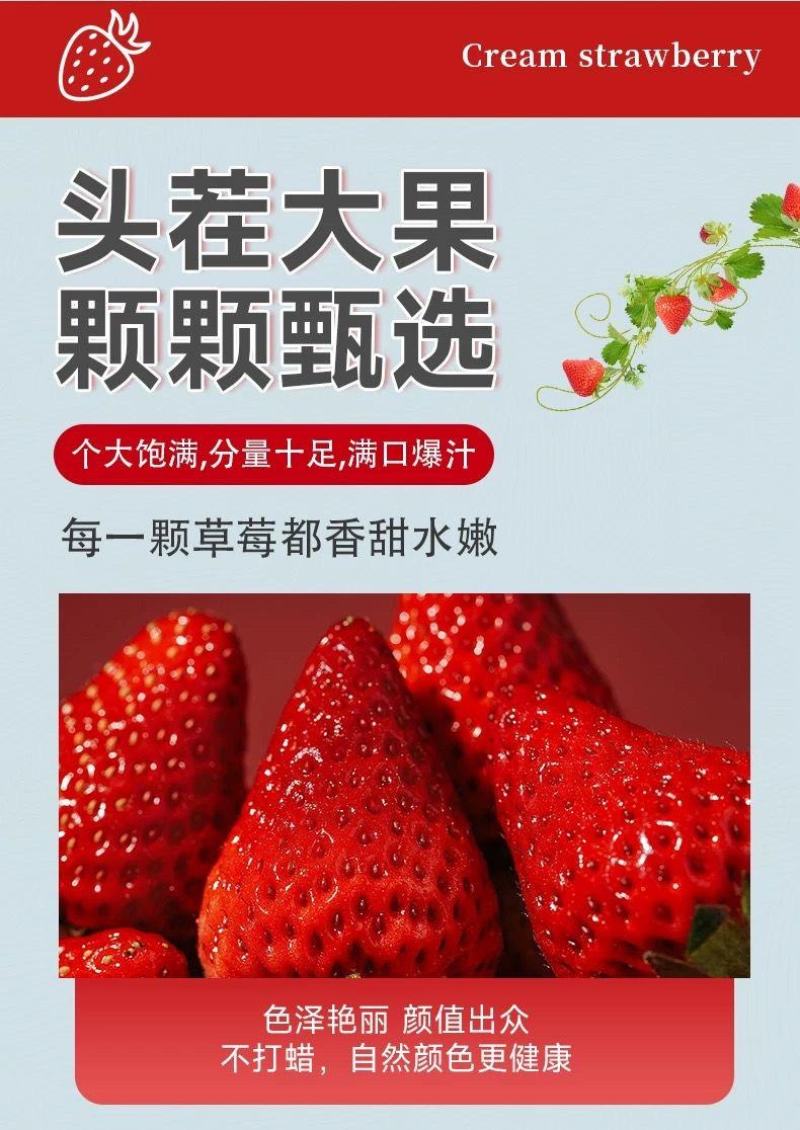 丹东草莓