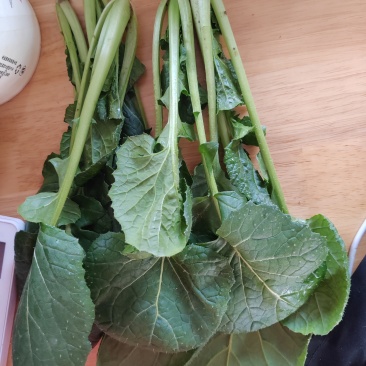 黑苔菜