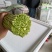 云南精品芦蒿种植批发