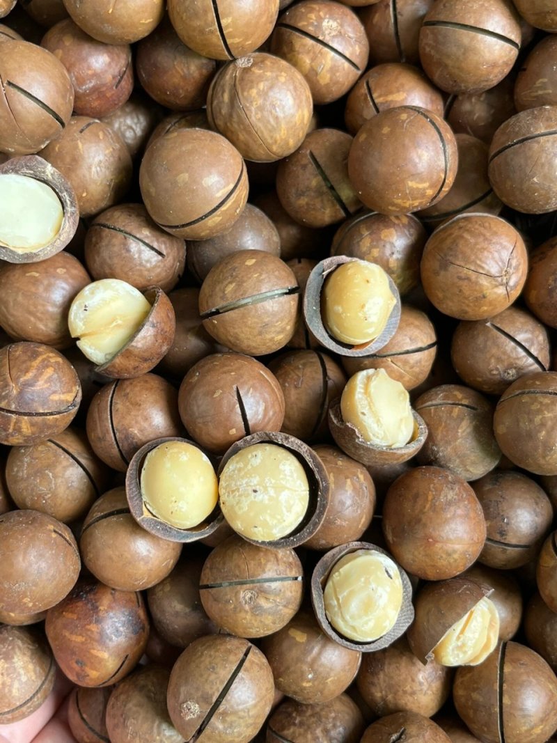 夏威夷果