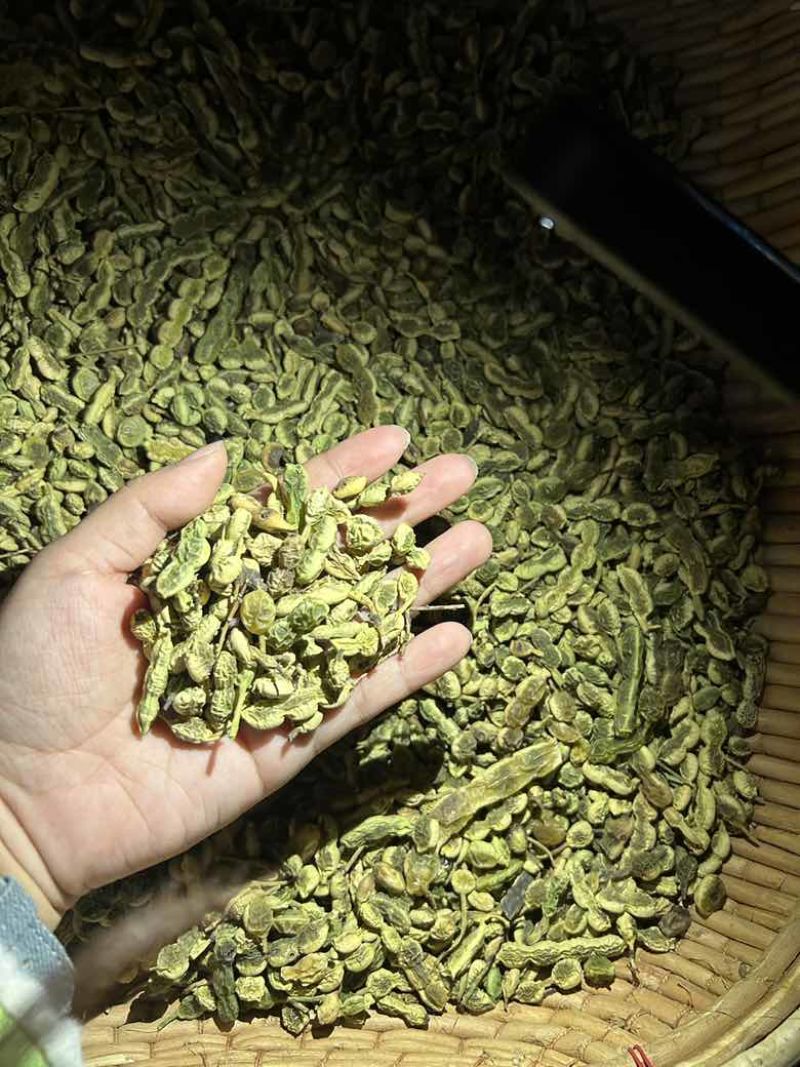 卖槐角有需要联系