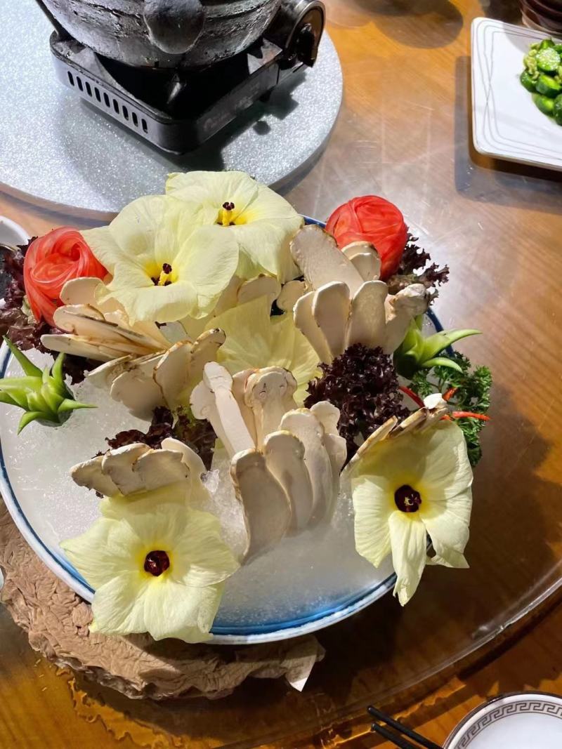 种植金花葵可食用鲜花，烘干花、根、茎、叶、果，价格小贵