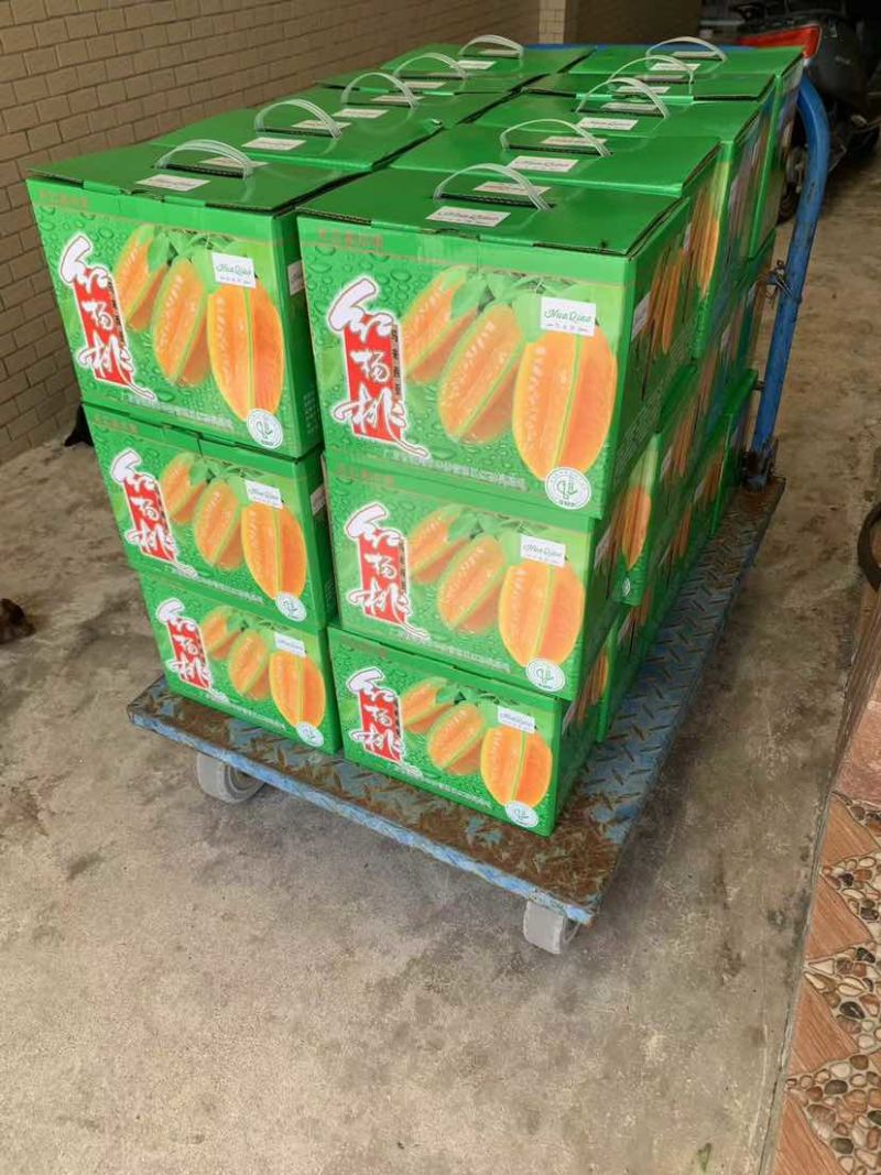 杨桃产地