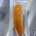 天津岳薯食品红瑶薯干、鲜薯