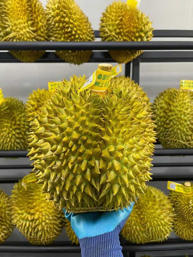 好货源榴莲