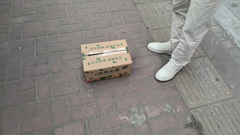 海南凤梨
