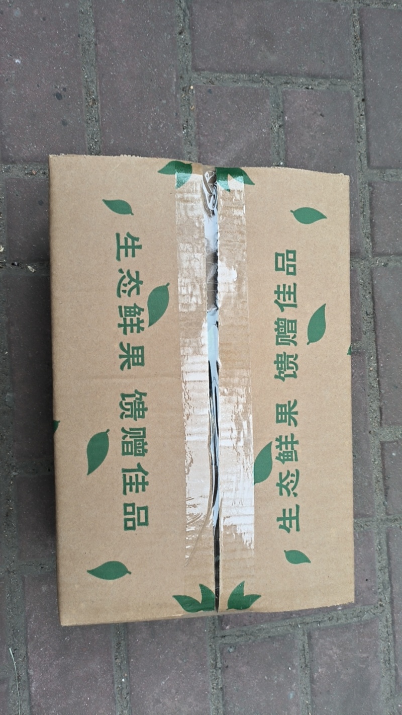 海南凤梨