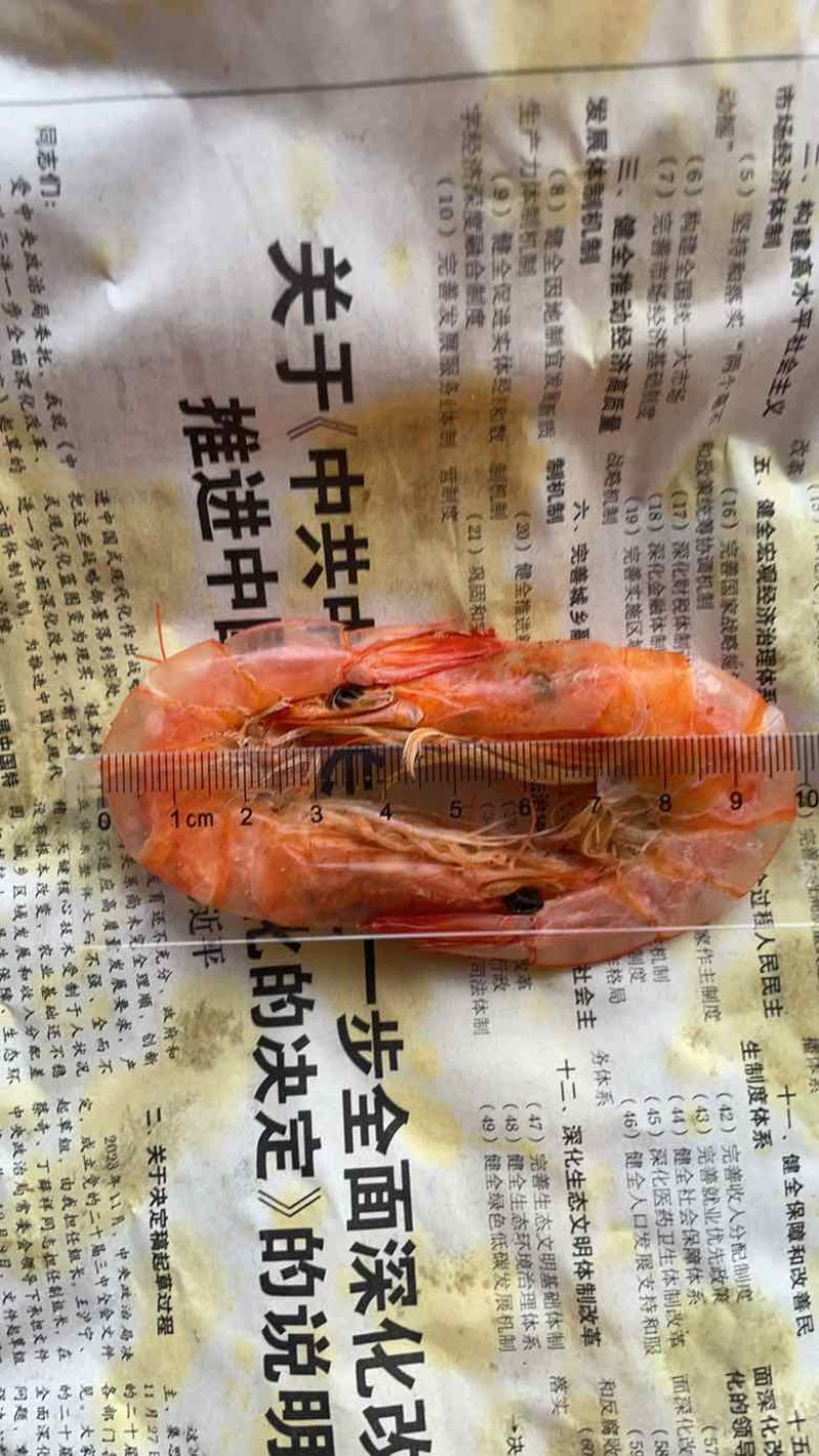烤虾，虾干，来自鲁北海产批发市场，欢迎电商、批发商洽谈合作。
